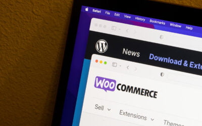 How Does Woocommerce Work?